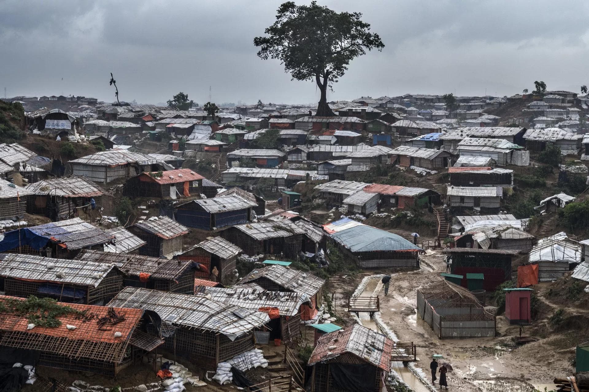 Rohingya Population in Cox’s Bazar Rises by Nearly 179,000 in One Year