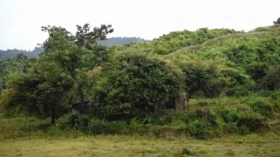 Three Bangladeshis Killed in Suspected Arakan Army Landmine Blasts Near Ghumdhum Border